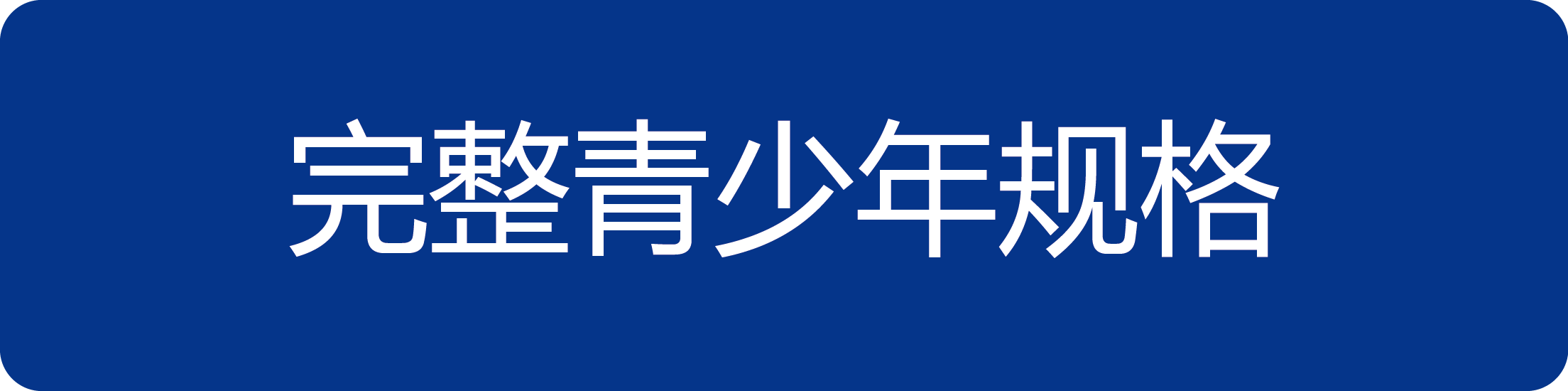 完整青少年规格.png
